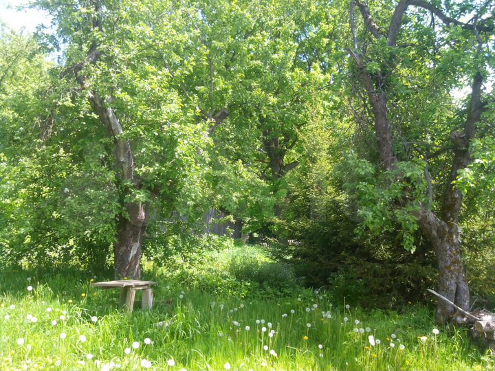 Дом 54 м² на участке 40 сот.