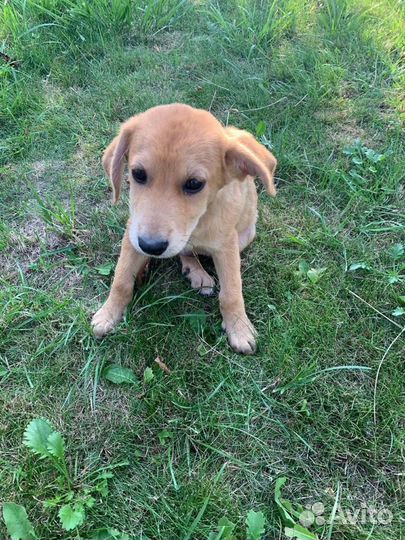 Помогите малышам