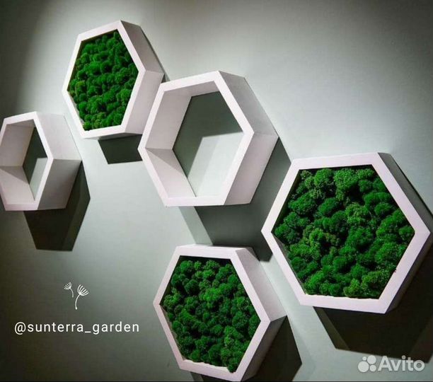 Полка сота. Полка настенная со мхом. Декор