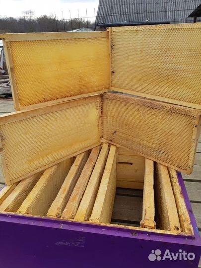 Сушь для пчел