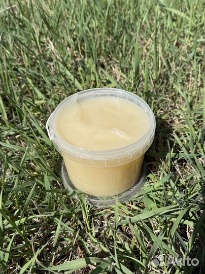 Оптом мед свежий 2024 с Алтая