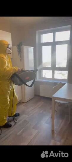 Уничтожение тараканов и клопов