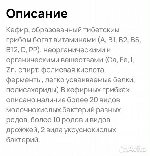 Кефирный тибетский гриб