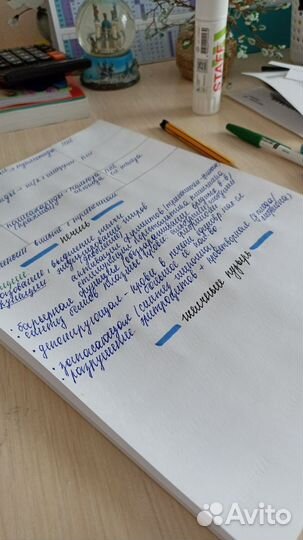 Перепишу лекции и конспекты