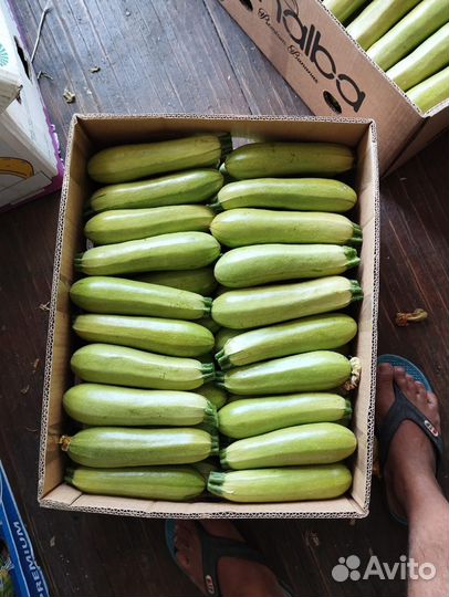 Продам кабачки