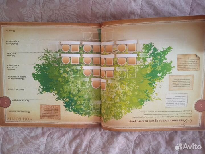 Родословная книга