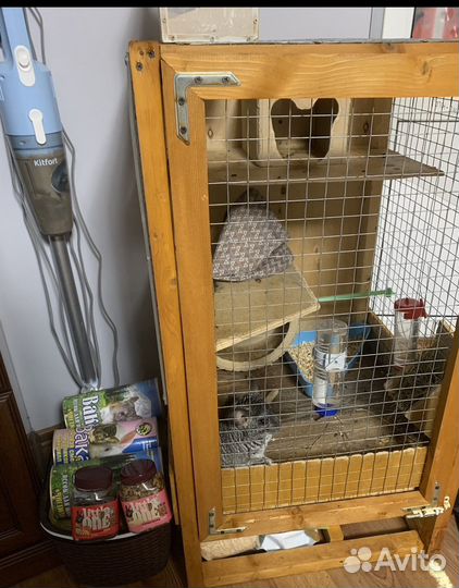 Клетка с двумя шиншилами. Семьей