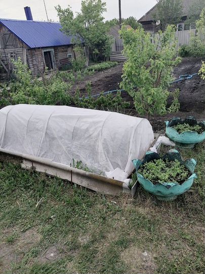 Дом 54 м² на участке 7,5 сот.