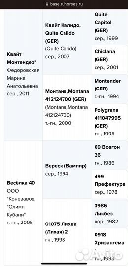 Жеребец, 2019 г.р