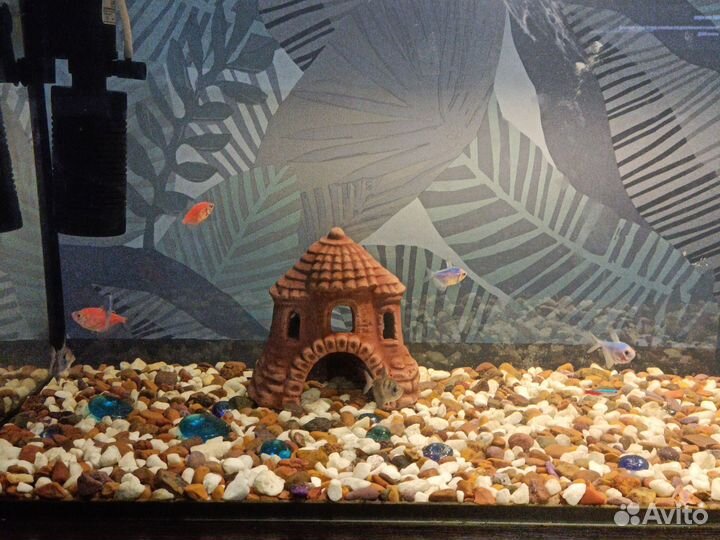 Аквариум