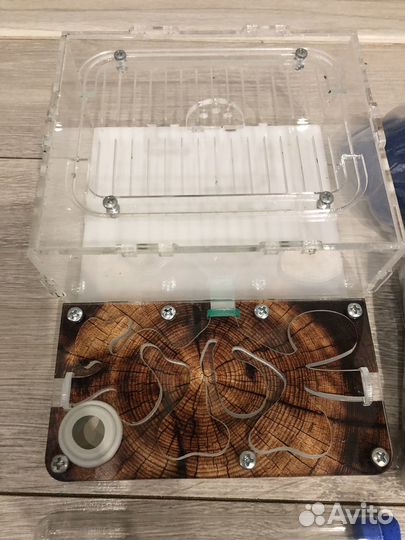 Формикарий муравьиная ферма