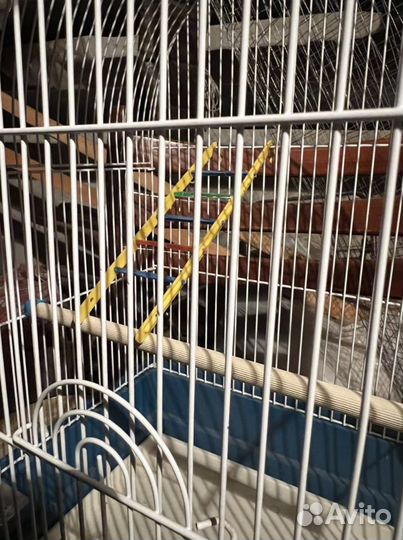 Клетка для птиц