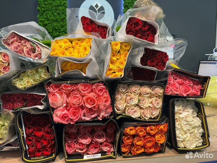 Тюльпаны оптом/тюльпаны с доставкой