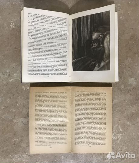 Ян Неруда, Толстой, Ф.М.Достоевский, К.Паустовский