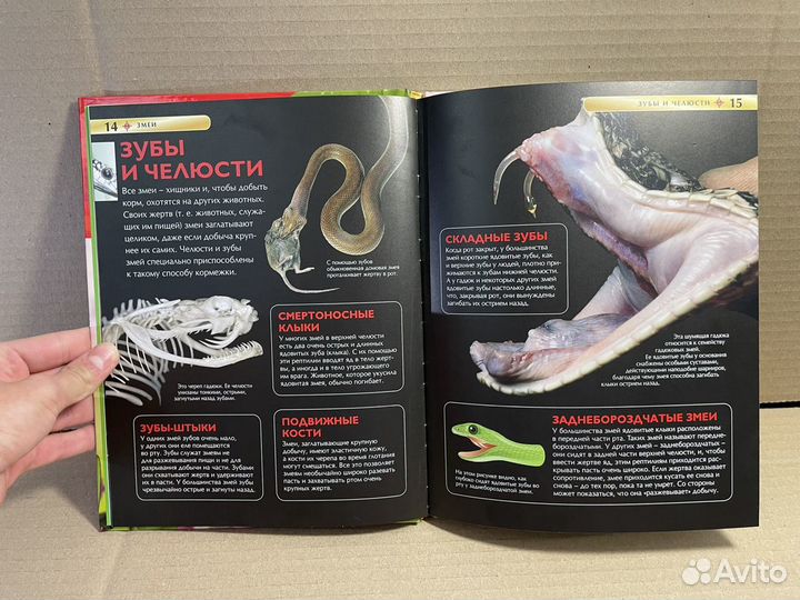 Энциклопедия 16 книг