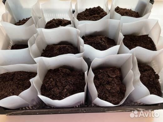 Пакеты для рассады 0,9 литра