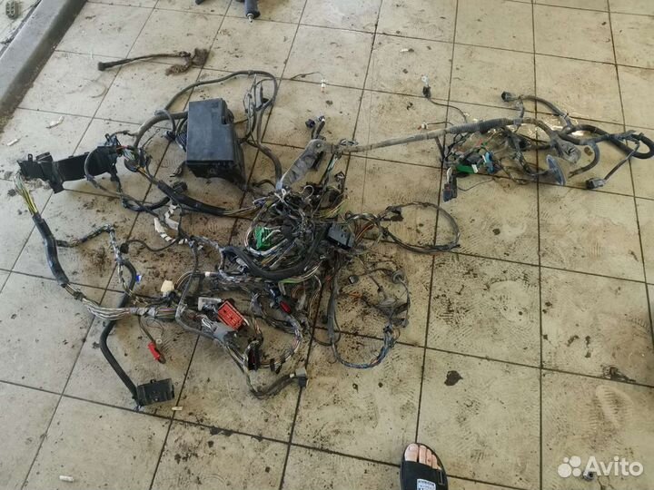 Проводка Ford Focus 2