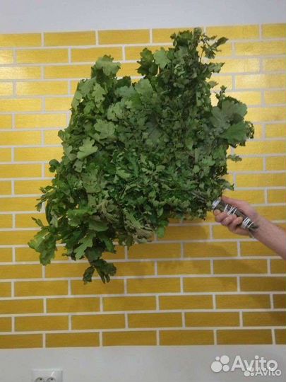 Дубовые веники для бани