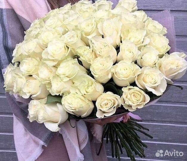 Высокие розы Гигантские розы Доставка цветов