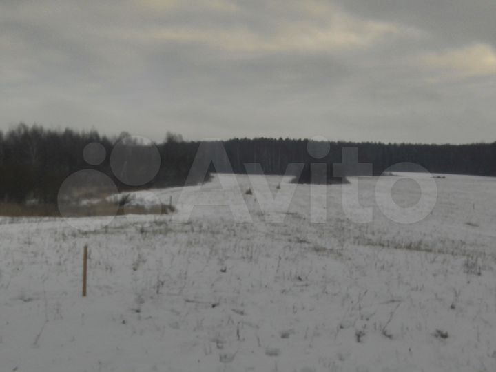 Участок 19,5 сот. (ИЖС)