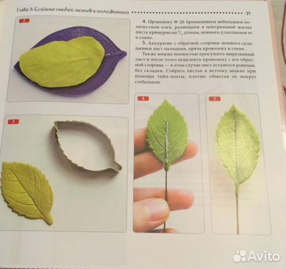 Евгения Волосова: 