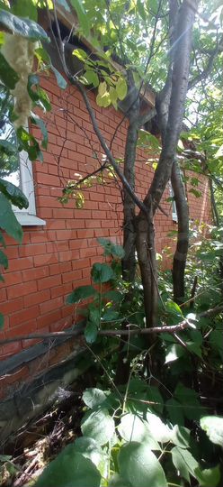 Дача 56 м² на участке 6,5 сот.