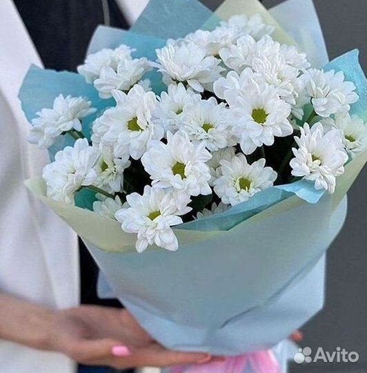 Хризантема