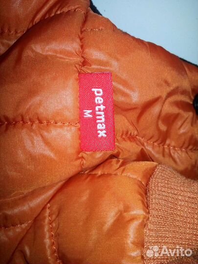 Одежда для собак