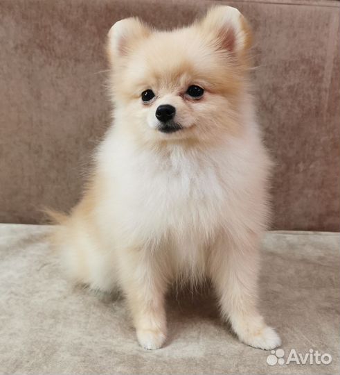 Супер мини девочки