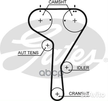 Ремень грм 5680XS Gates