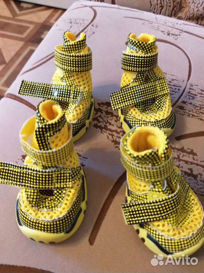 Одежда для маленьких собак