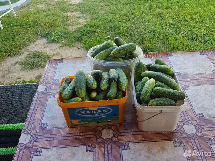 Продам банки