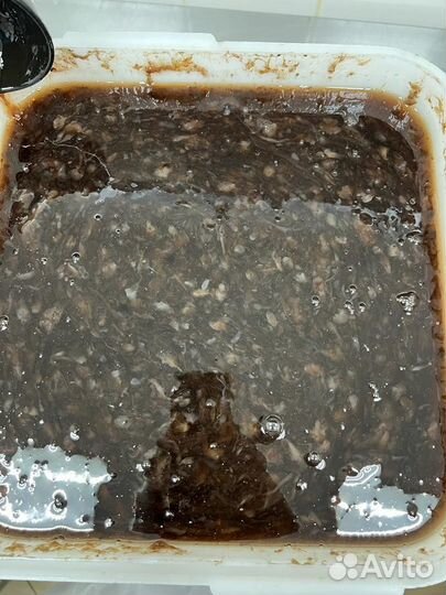 Трепанг на меду