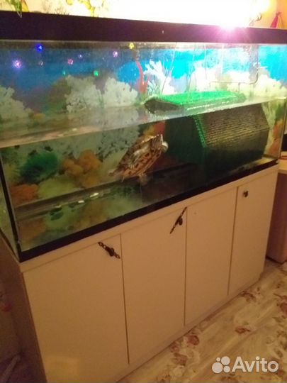 Аквариум 420л