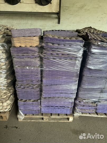 Альвеола (ячейка для яблок)