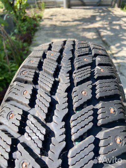 Nexen Winguard 231 185/65 R15 88T