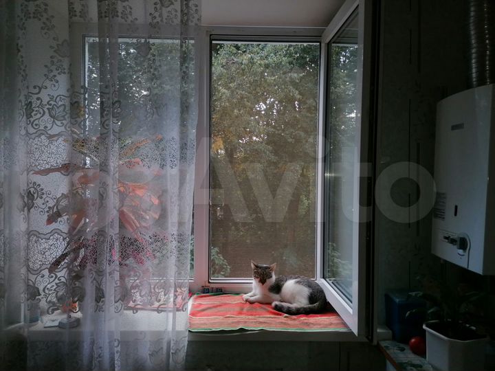 1-к. квартира, 31 м², 2/4 эт.