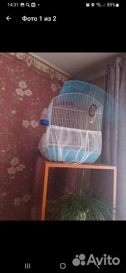 Клетка со всем что нужно для папугая