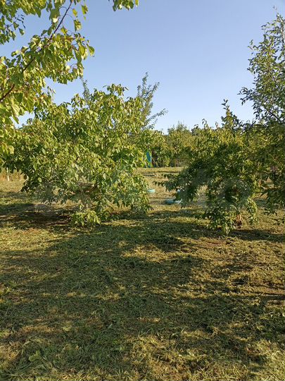 Участок 6 сот. (СНТ, ДНП)