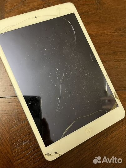 iPad mini