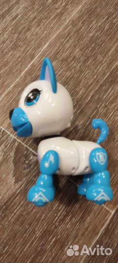 Умный щенок