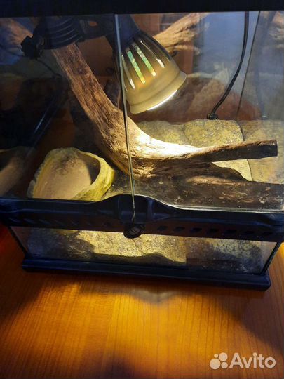 Террариум для рептилий