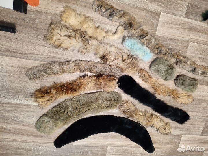 Шкурка животного