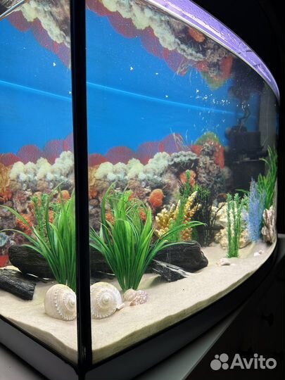 Аквариум 200 литров