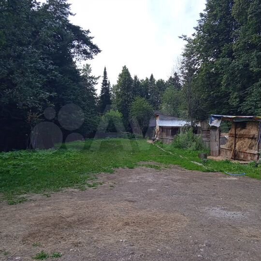 Дом 100 м² на участке 24 сот.