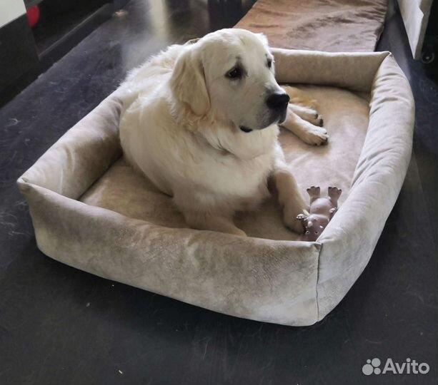 Лежанка для собак