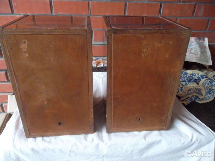 Колонки 10 ас 203