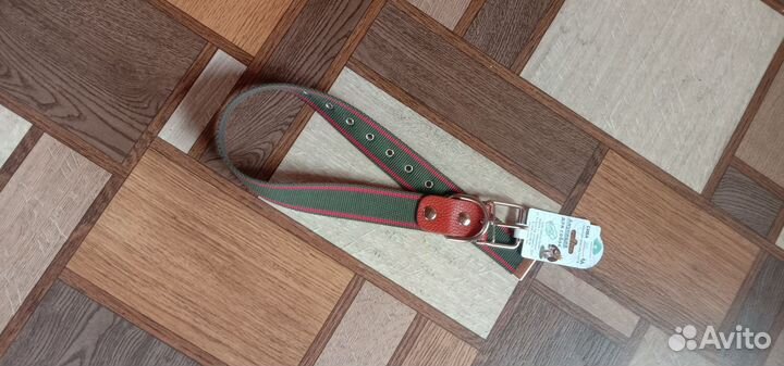 Ошейник и поводок для собаки