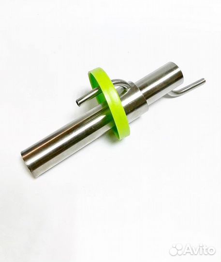 Попугай на стеклянную банку