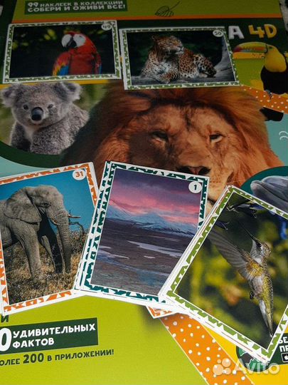 Наклейки Живая планета пуд